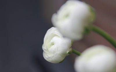 Hommage à Jean-Pierre Winter